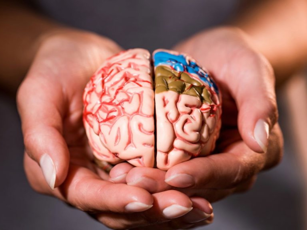 Acompanhamento Neurológico: Dicas para preservar a saúde do seu cérebro e manter a memória!