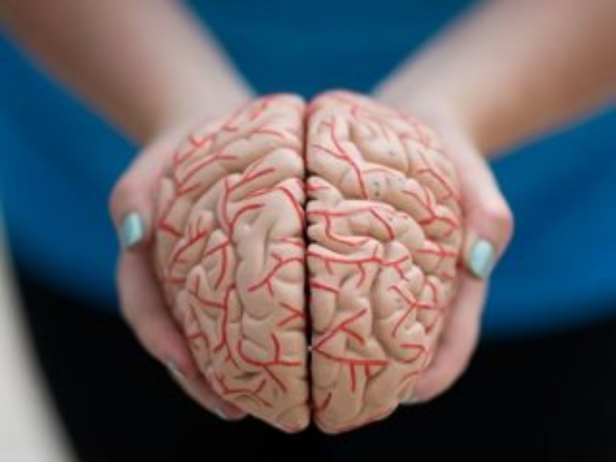 Doenças Neurológicas: Cuidar do seu cérebro é cuidar de você!