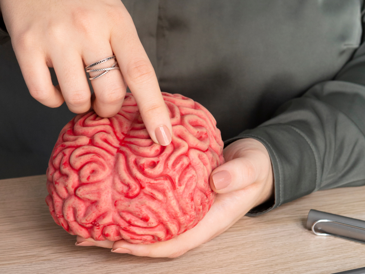 Cuiar do Cérebro Hoje é Investir no Futuro!