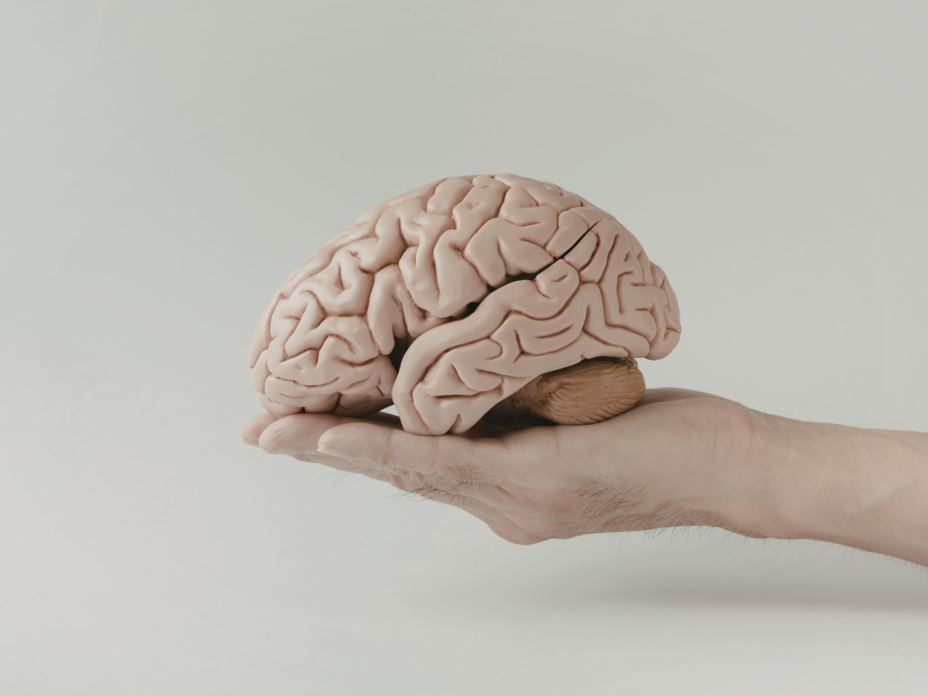 AVC: Sinais de Alerta, Fatores de Risco e Como Proteger o Seu Cérebro